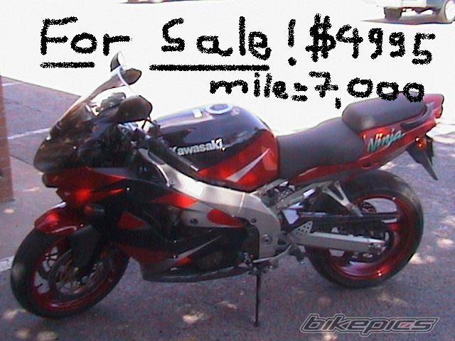 Photo 243851