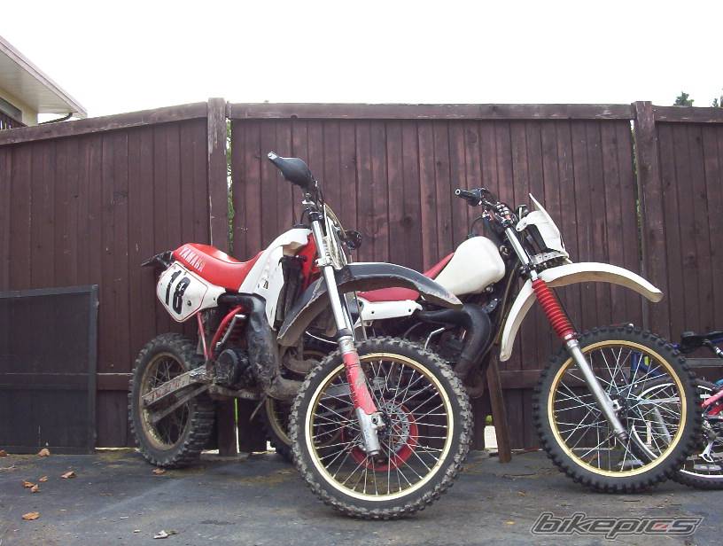 Photo 243859