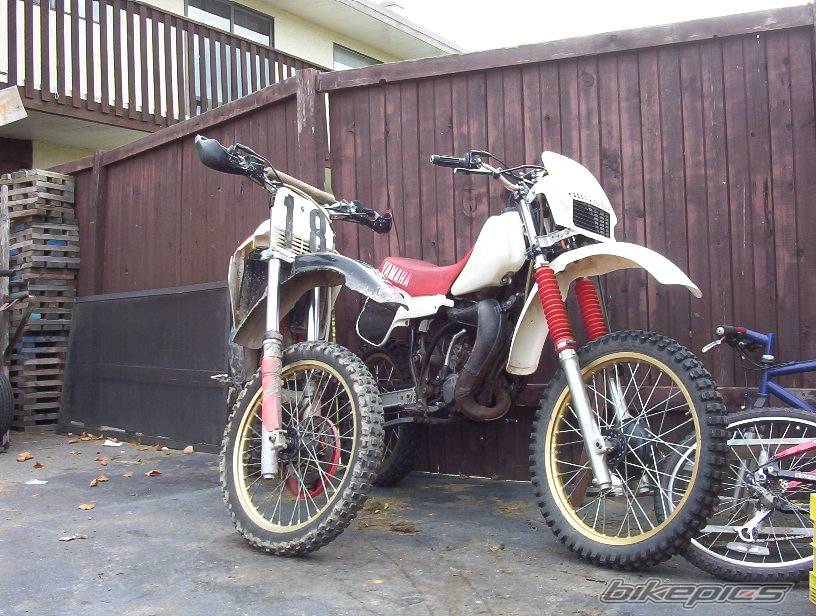 Photo 243861