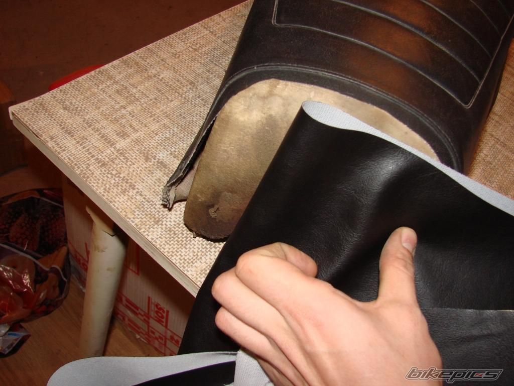 Photo 2438653