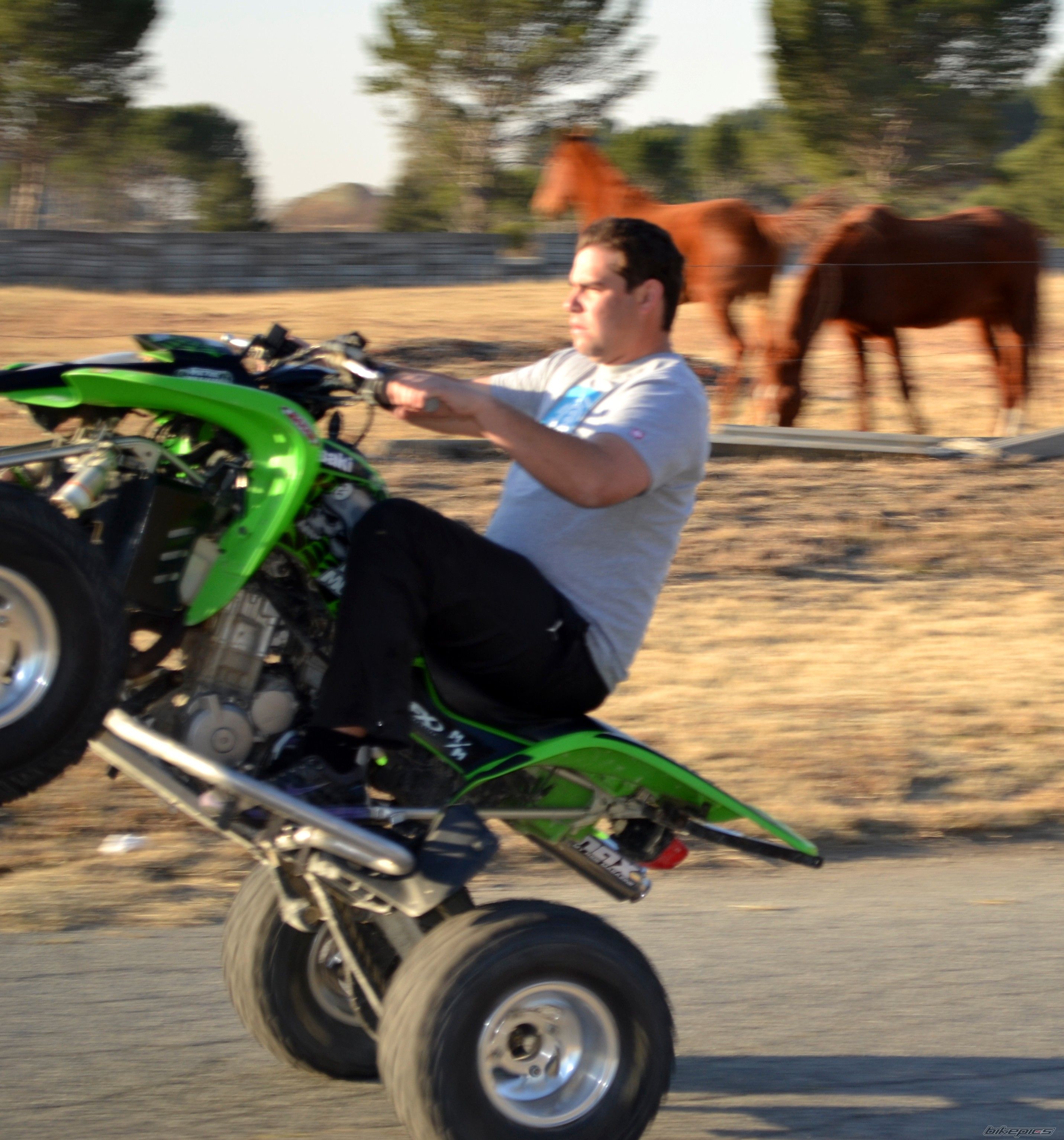 Bike Photo 2438751
