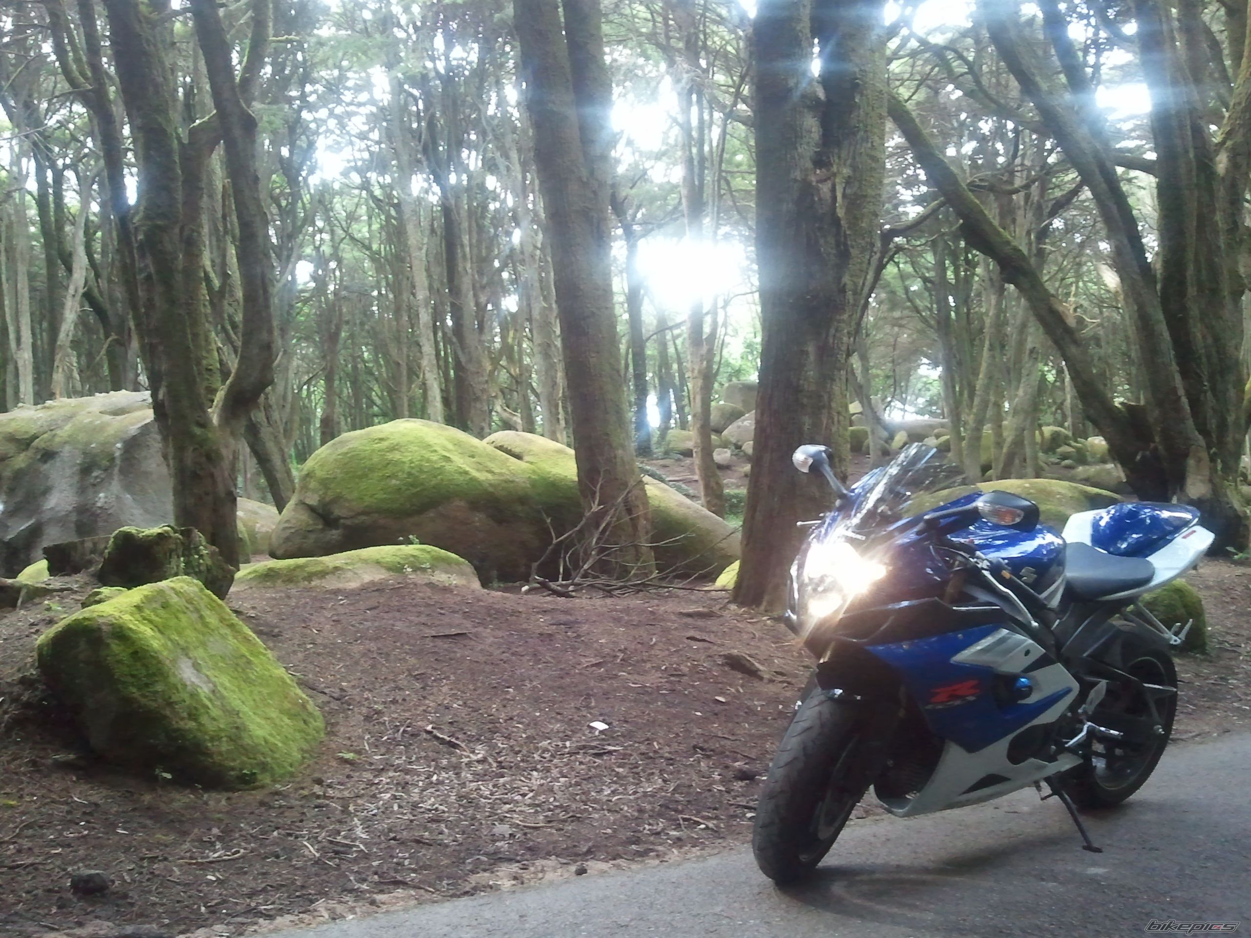 Photo 2438814