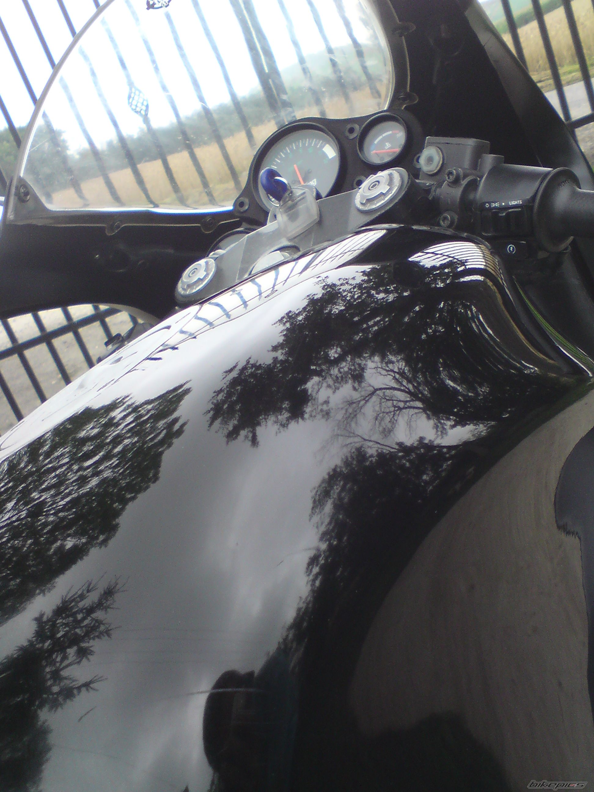 Photo 2438919