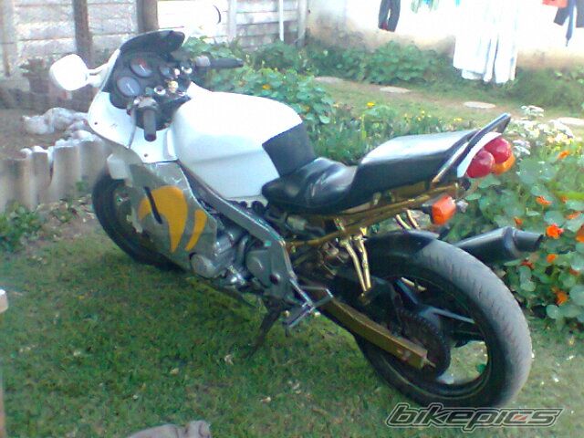 Photo 2438921