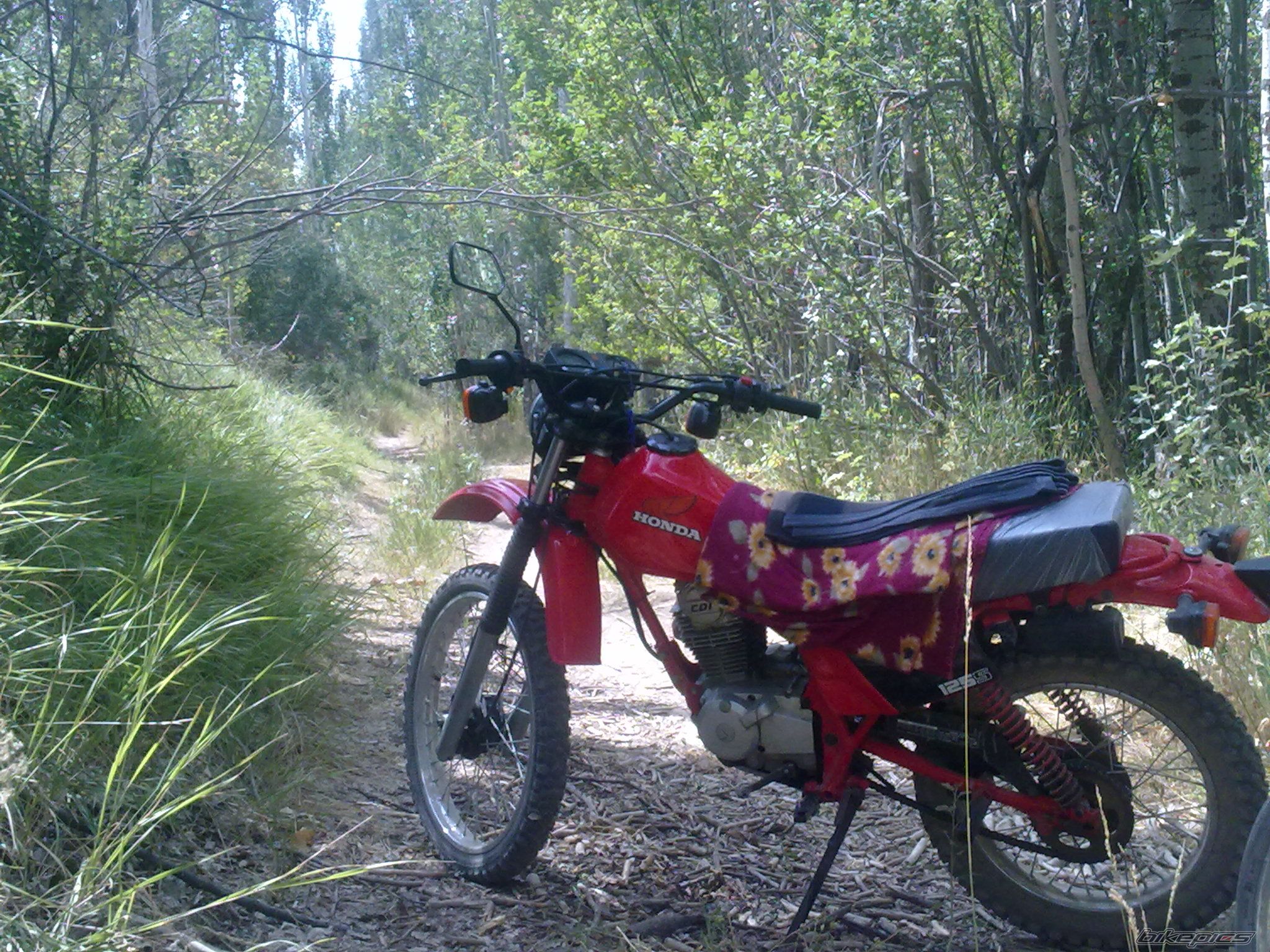 Photo 2438954