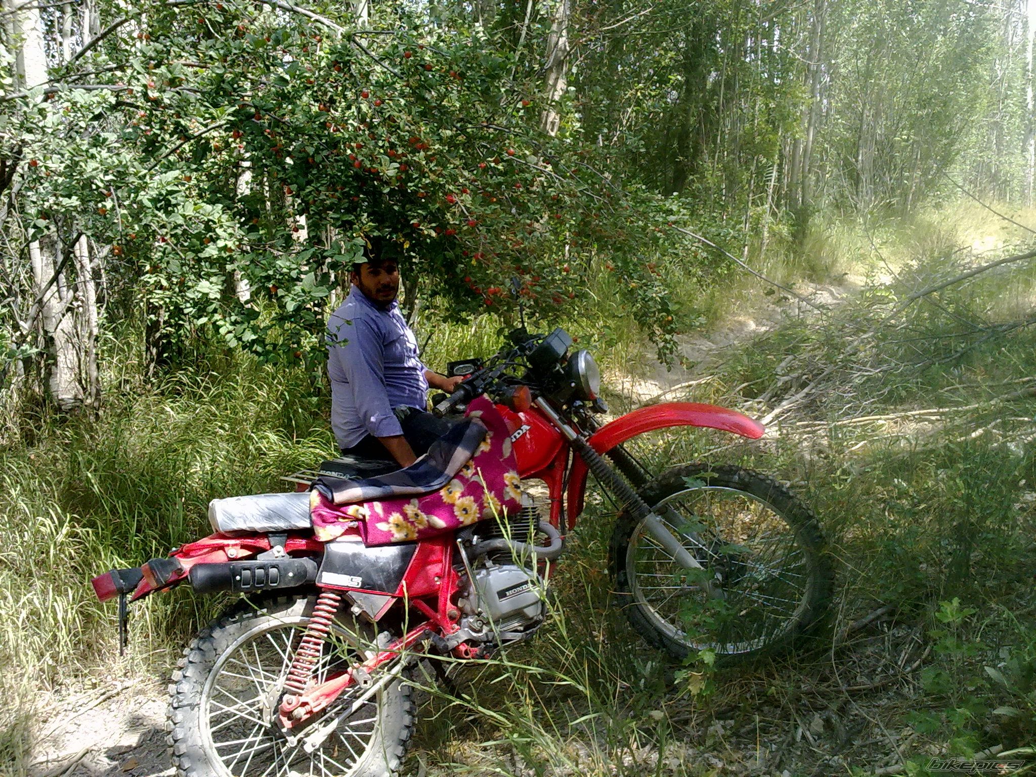 Photo 2438957