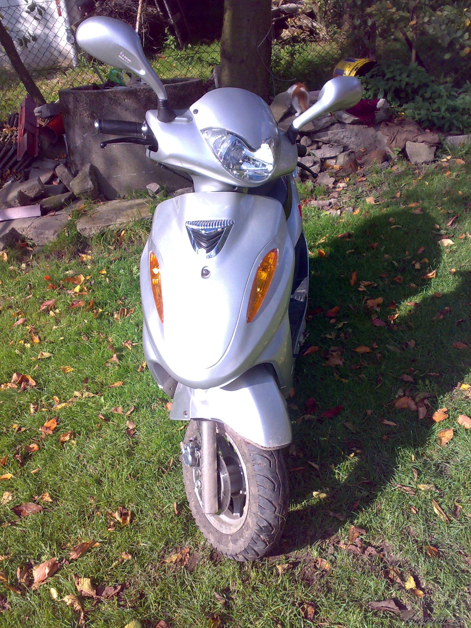 Photo 2438973