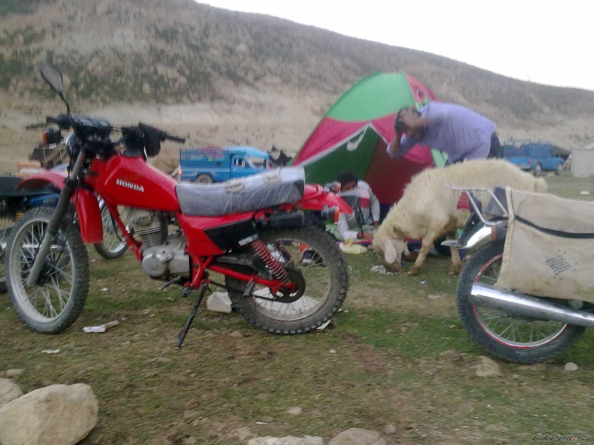 Photo 2438976
