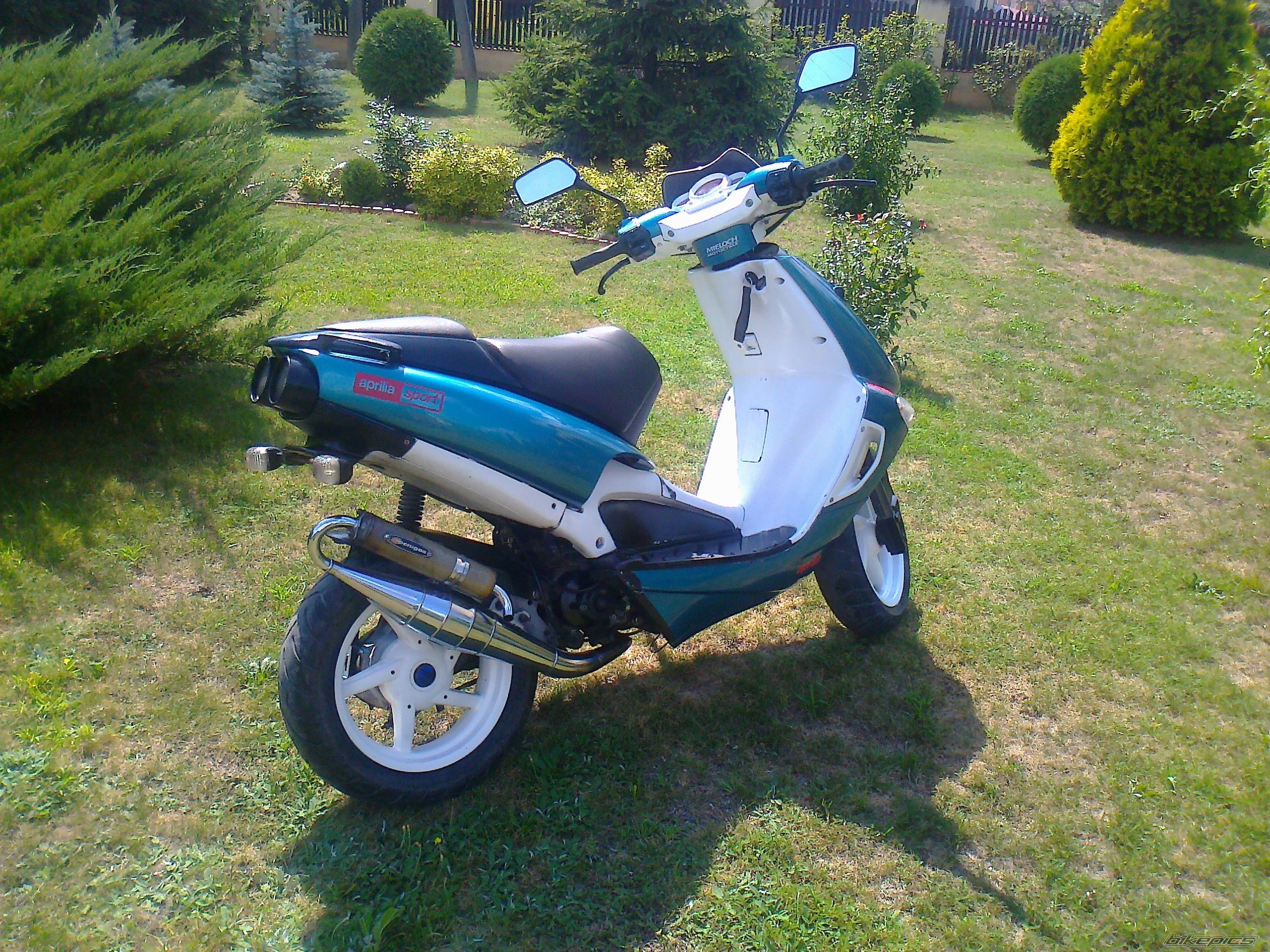 Photo 2439041