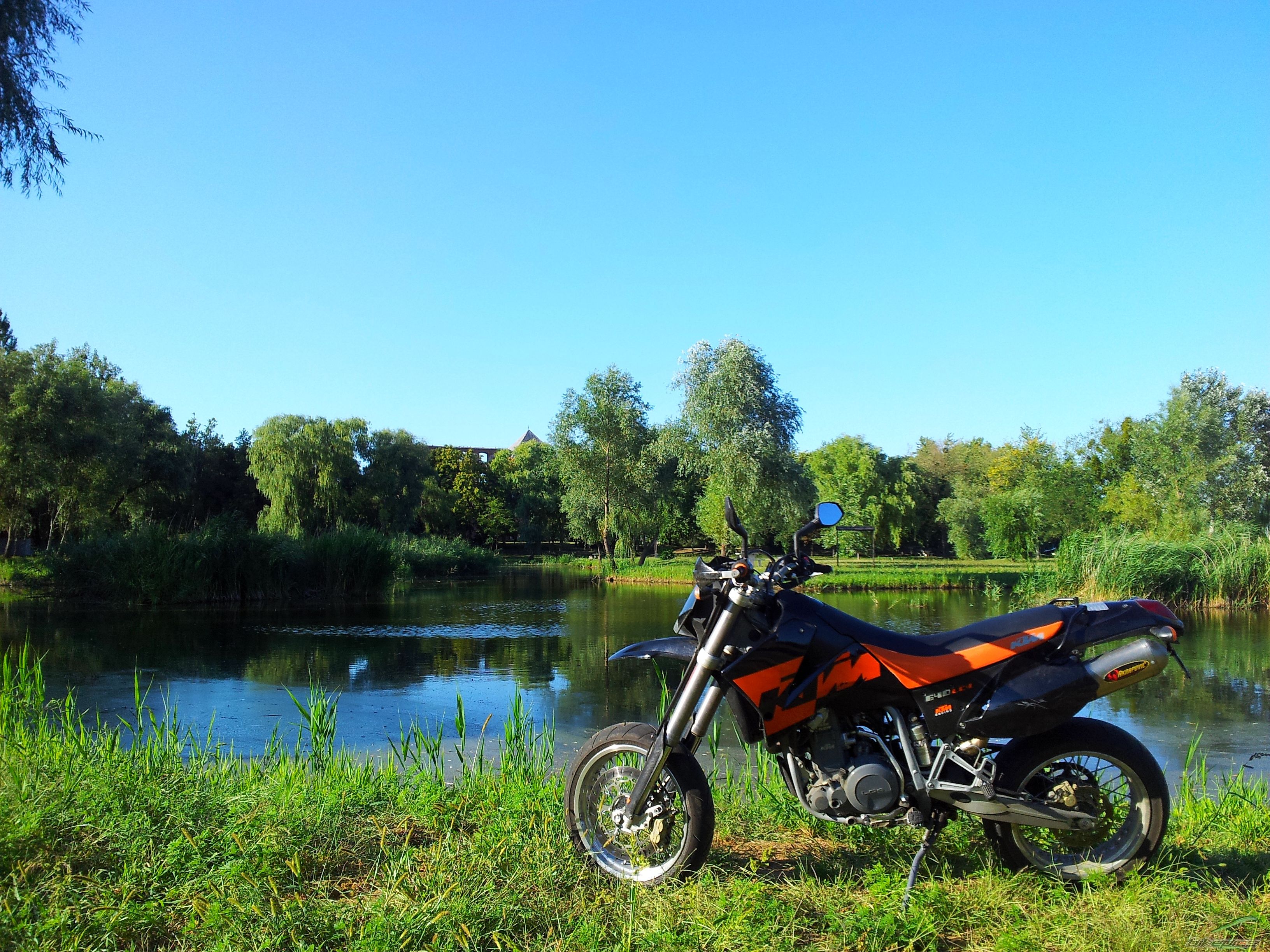 Photo 2439159