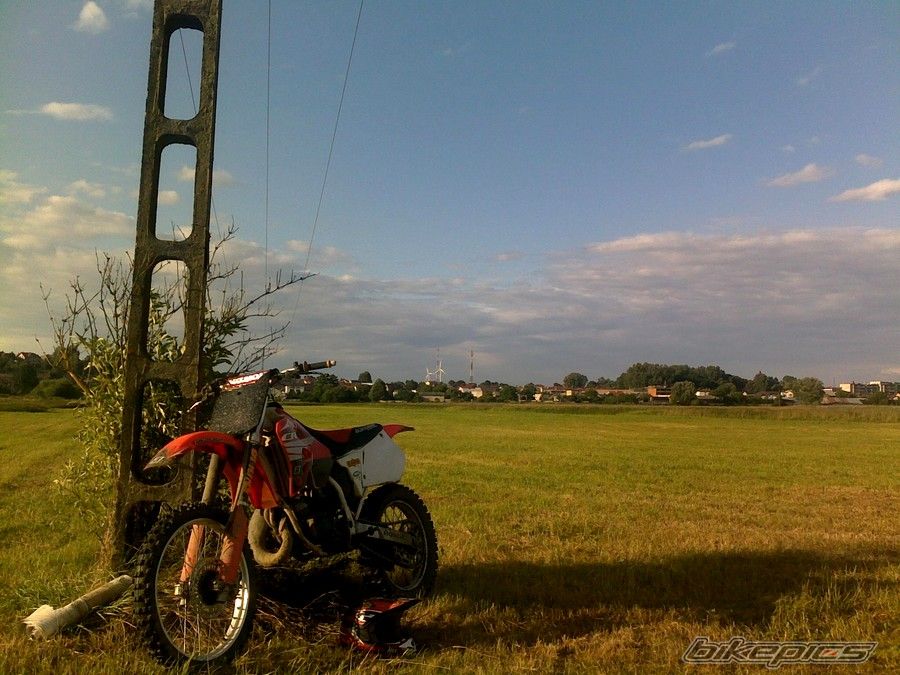 Photo 2439215
