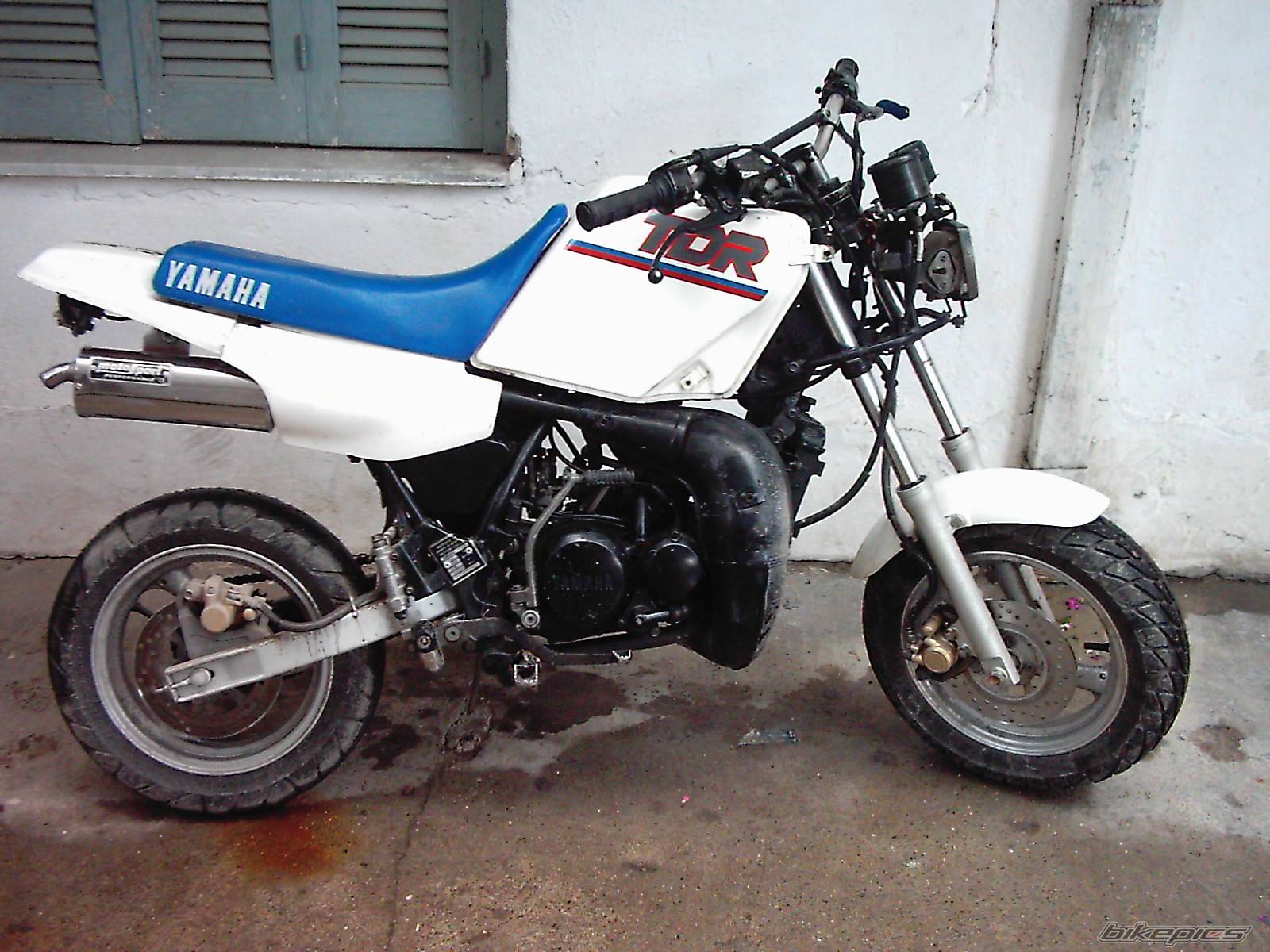 Photo 243925