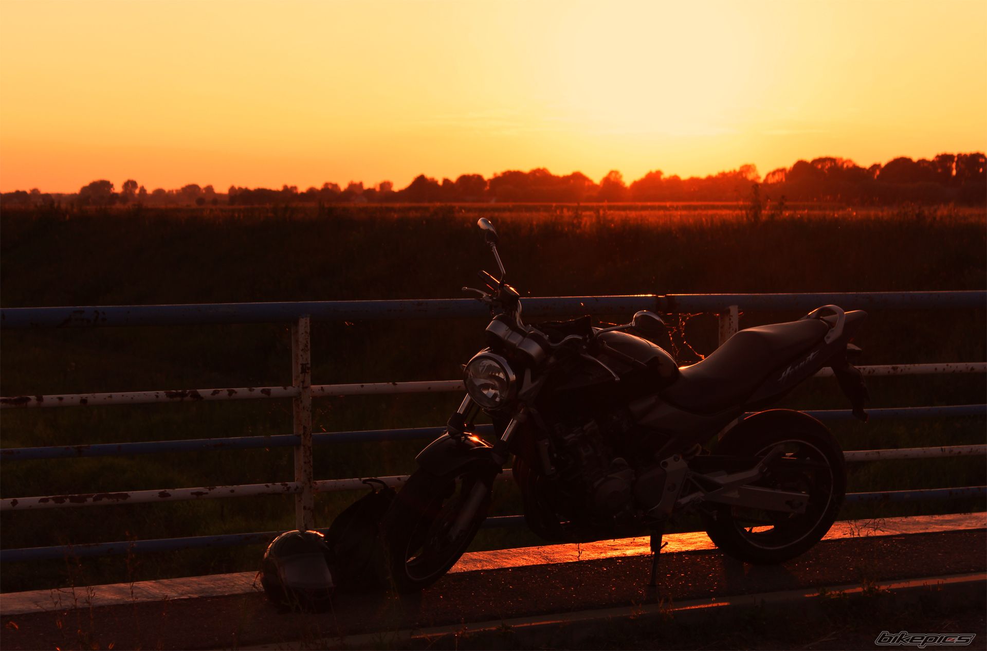 Photo 2439371