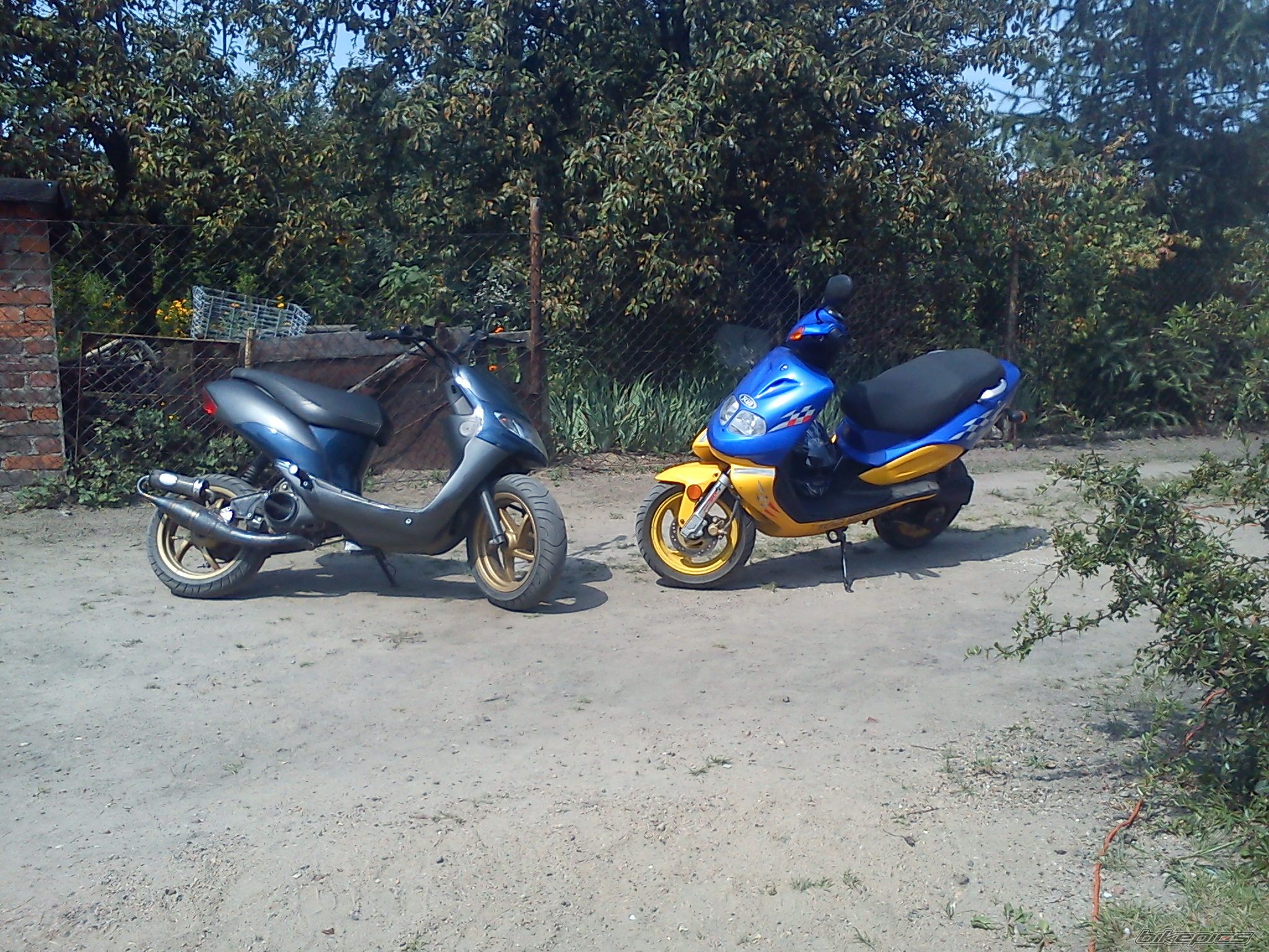 Photo 2439465