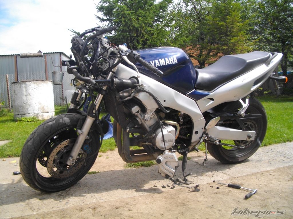 Photo 2439486