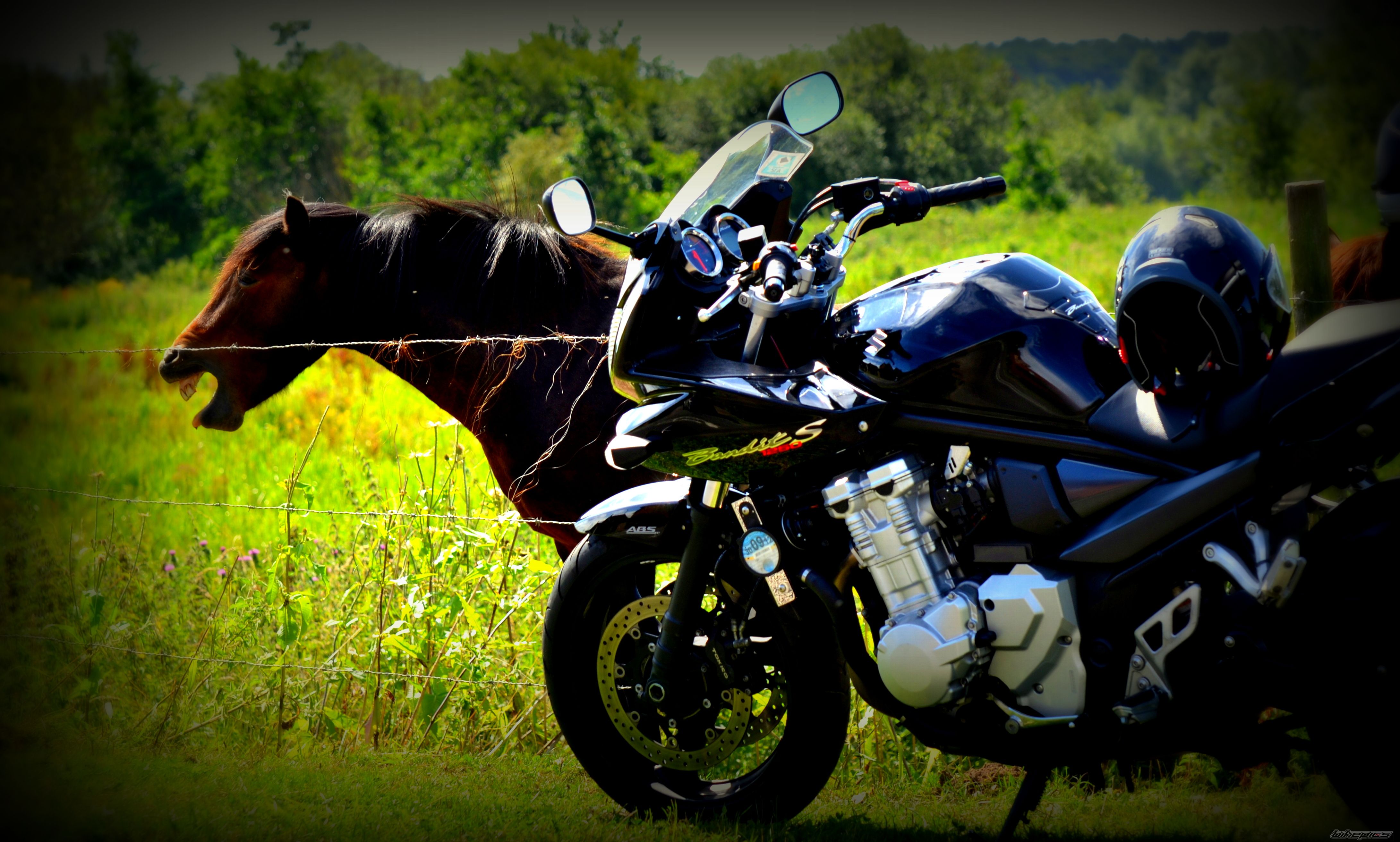 Bike Photo 2439493