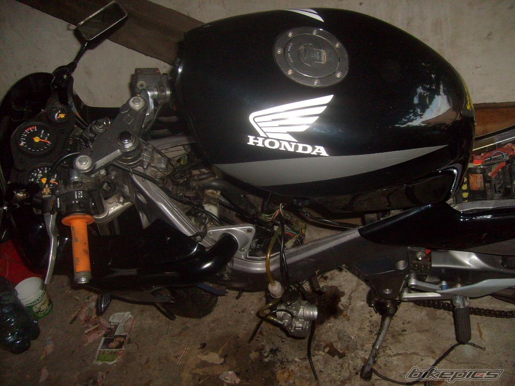 Photo 2439507