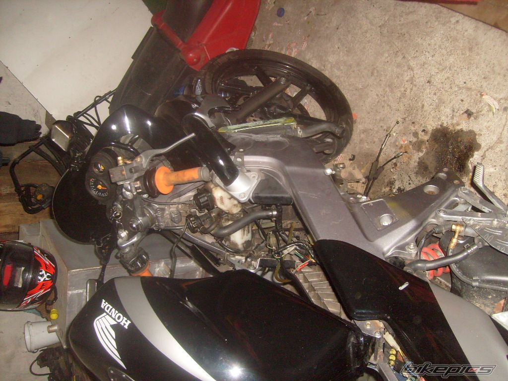 Photo 2439508