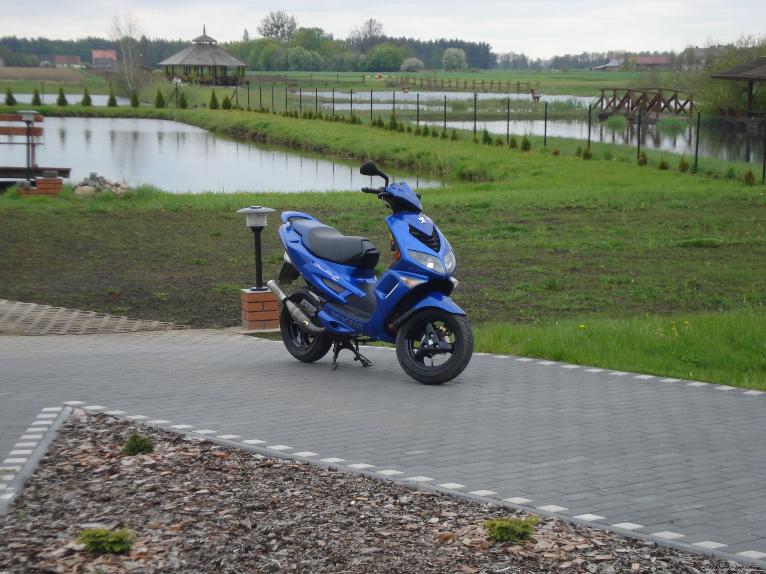 Photo 2439510