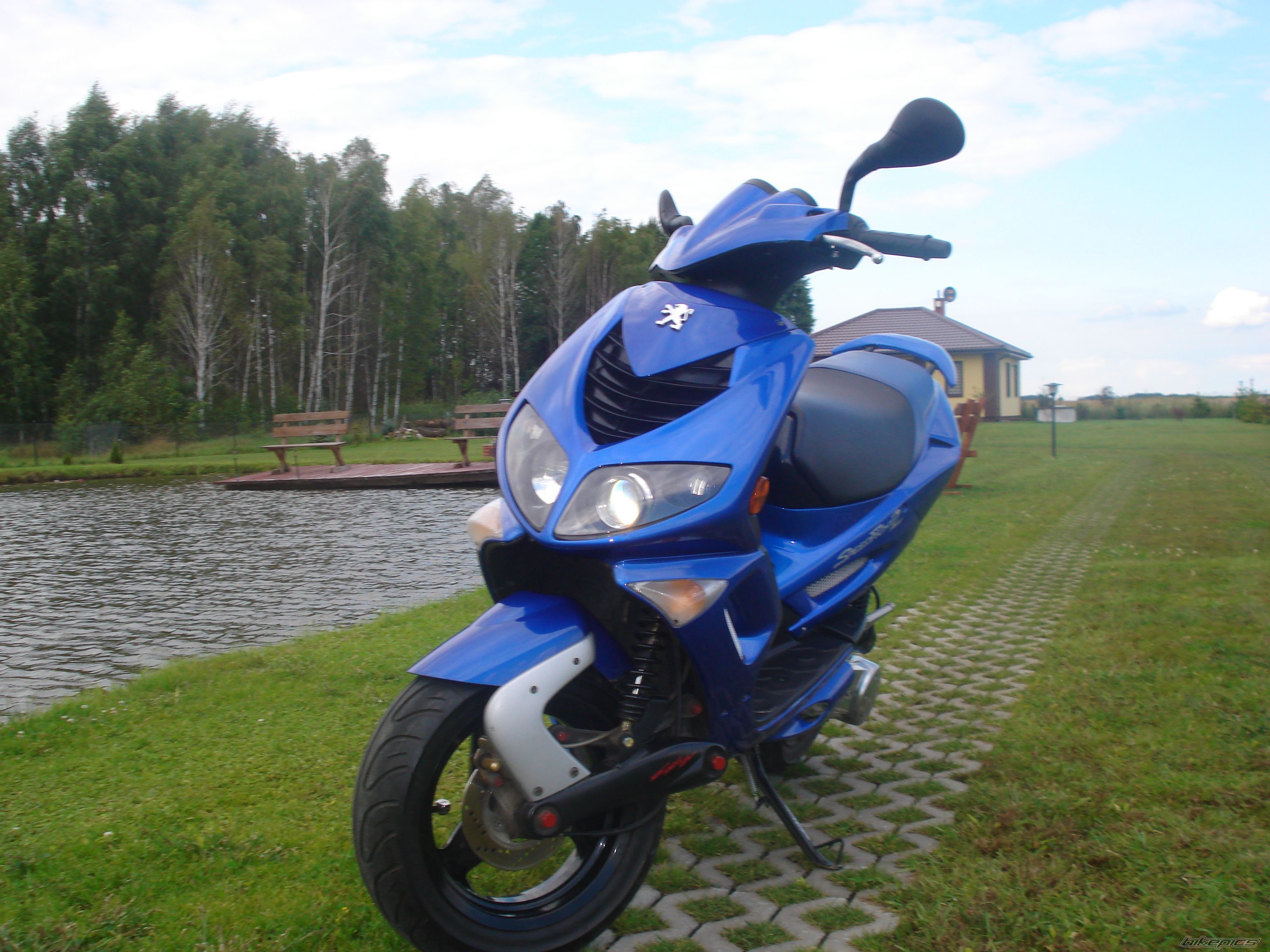 Photo 2439513