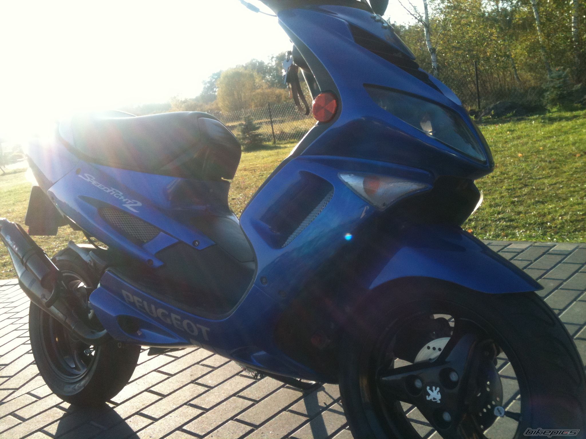 Photo 2439517