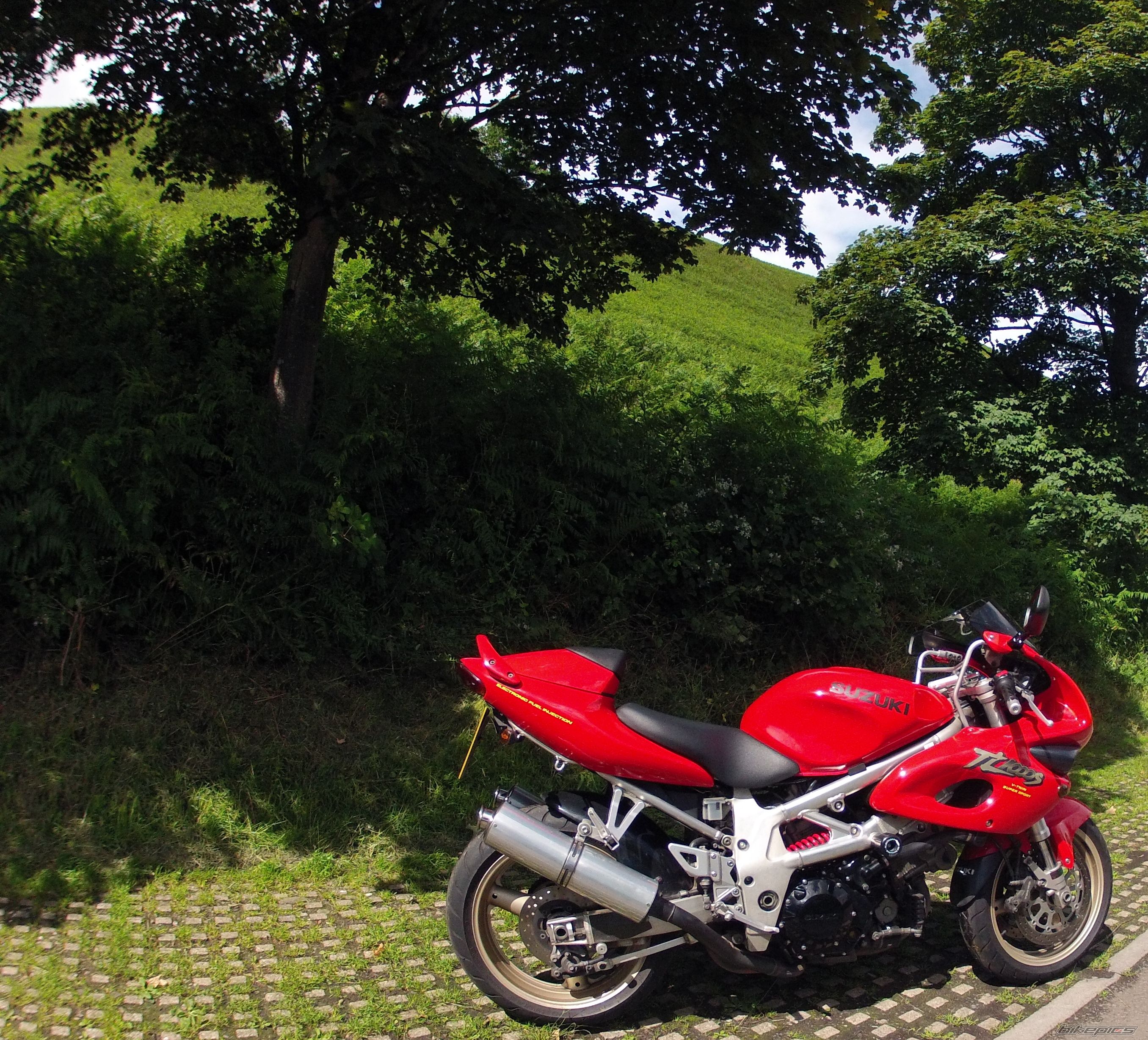Photo 2439534