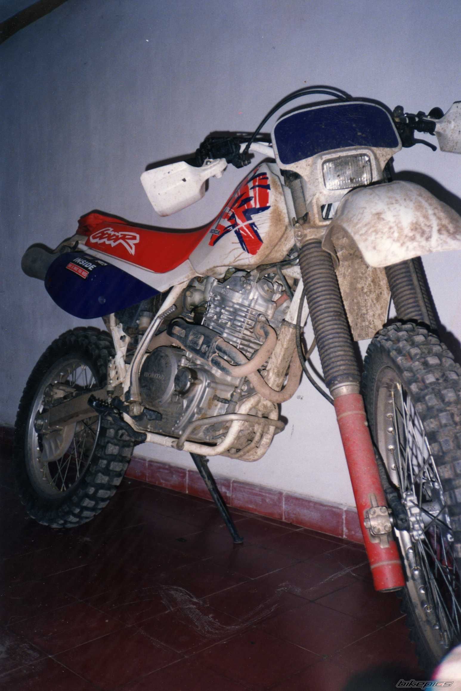 Bike Photo 2439573