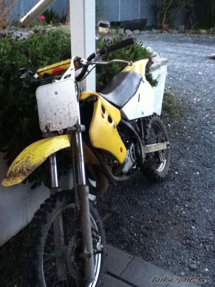 Photo 2439594
