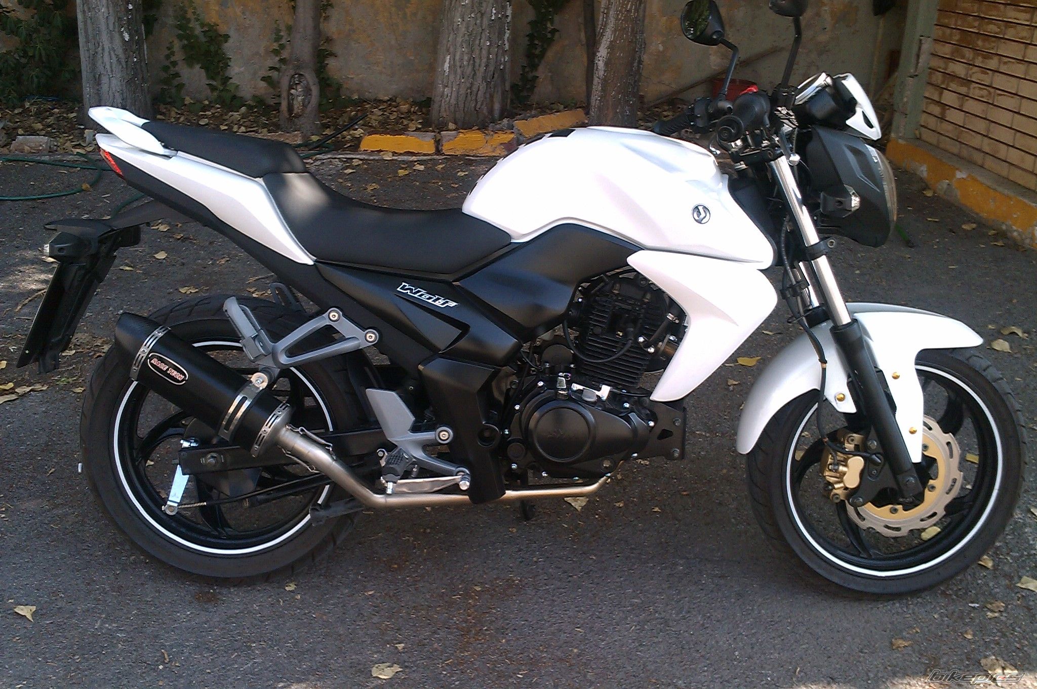 Photo 2439604