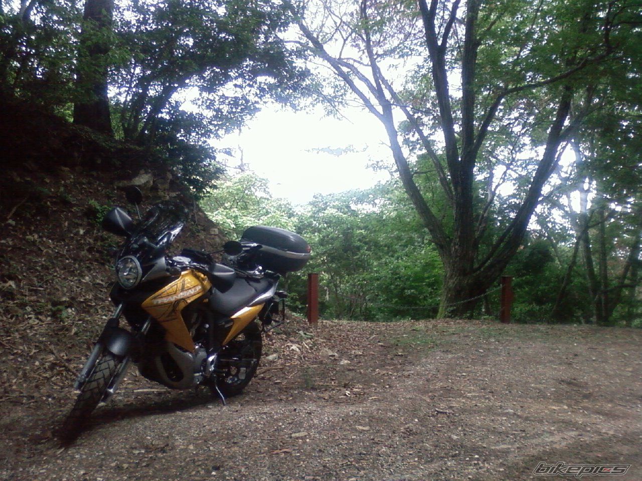 Photo 2439639