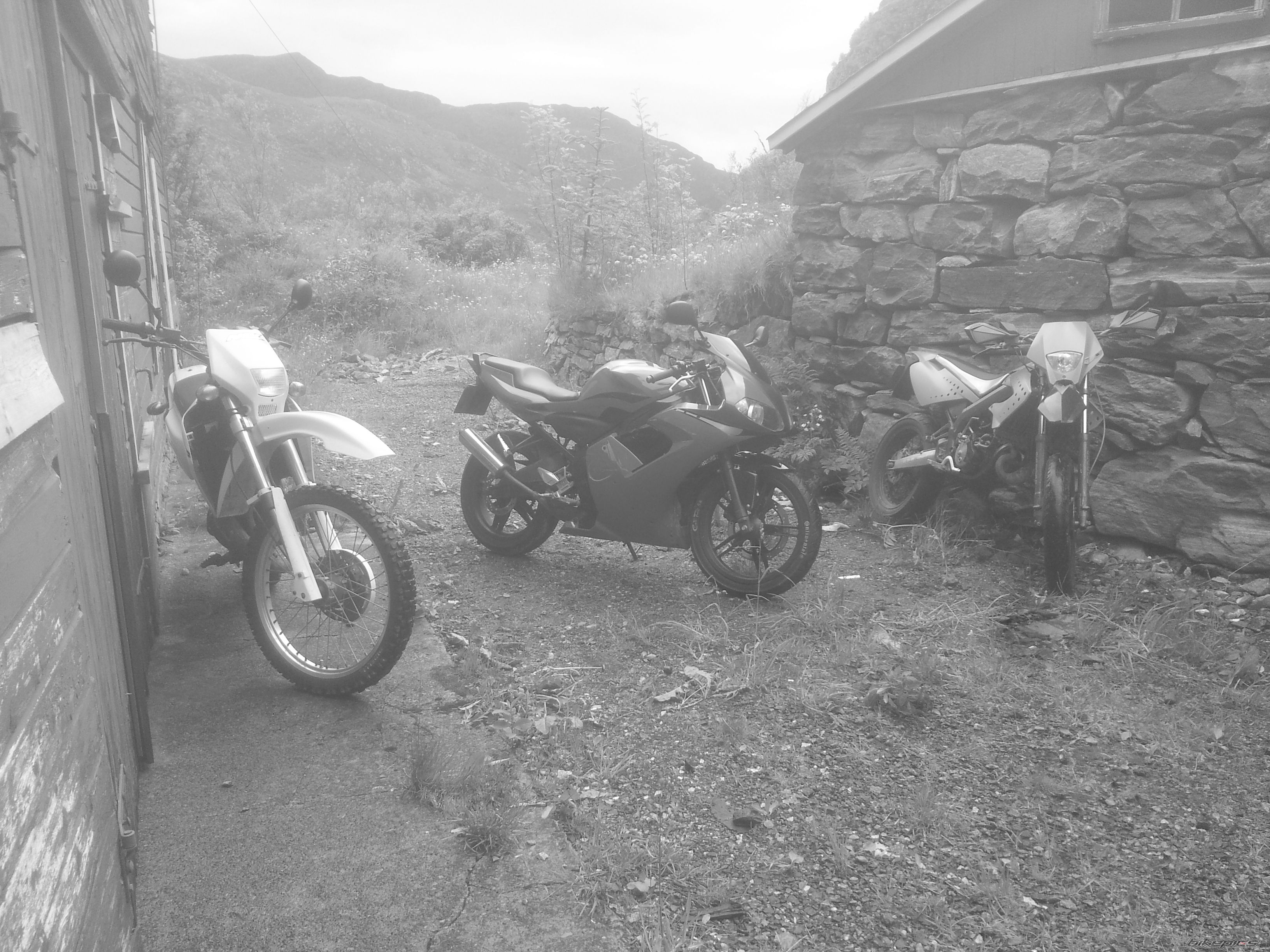 Photo 2439651