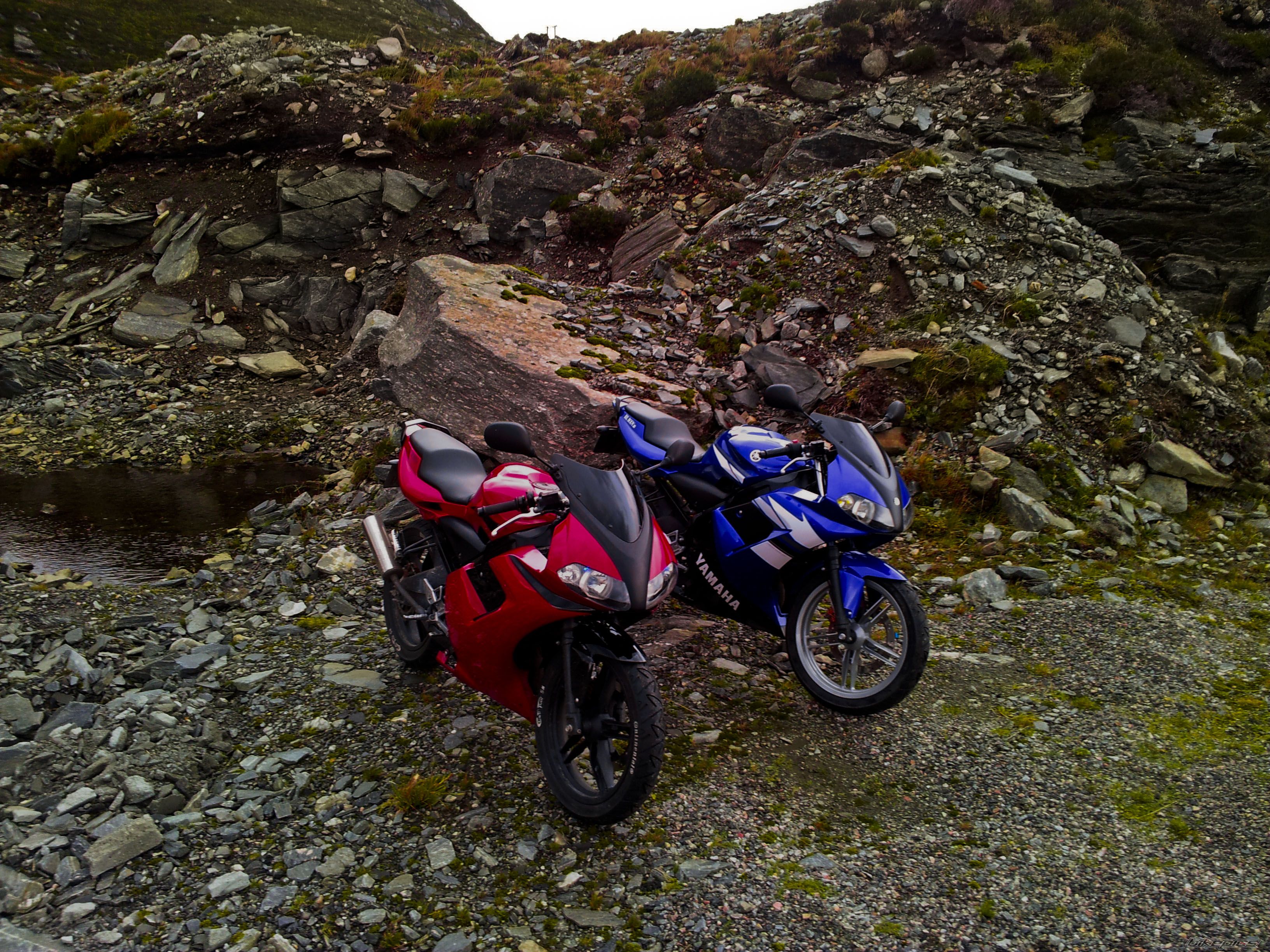 Photo 2439661