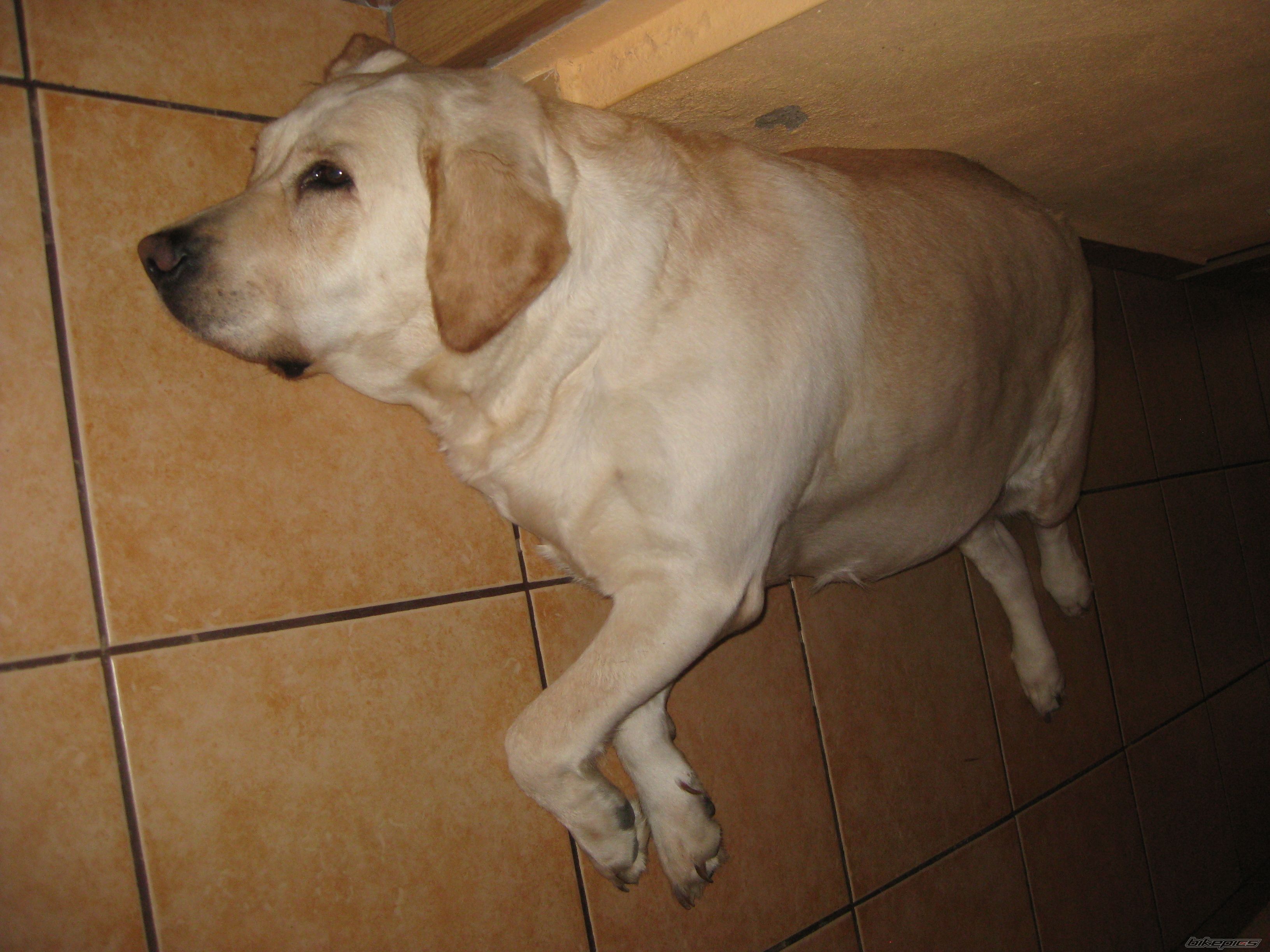 Photo 2439674