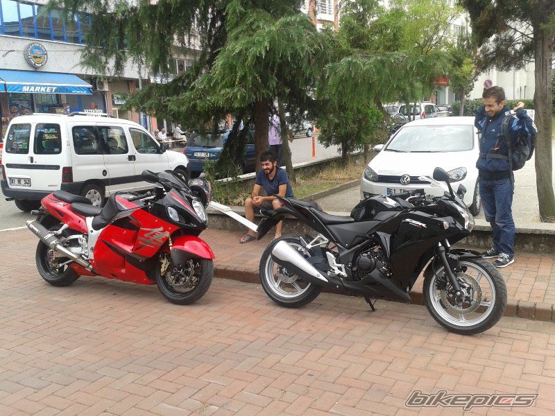 Photo 2439753