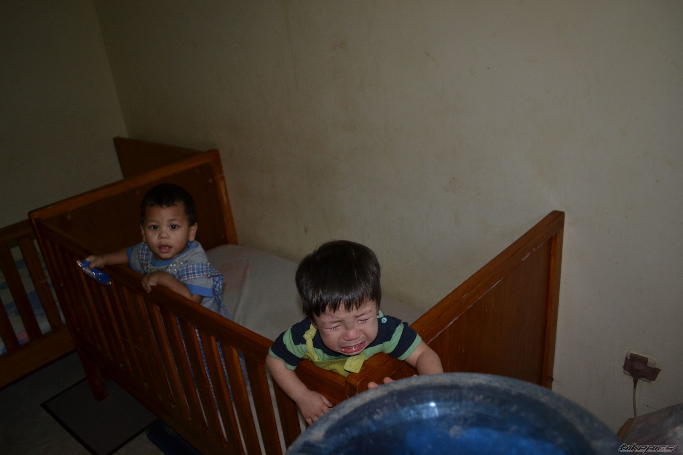 Photo 2439841