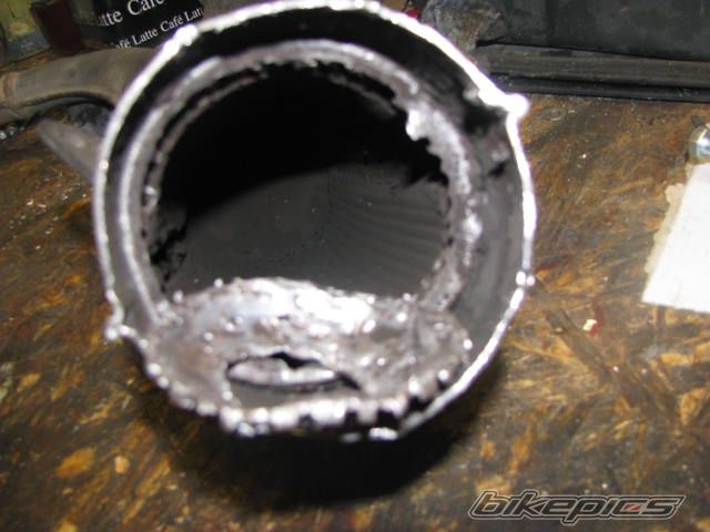 Photo 2439898