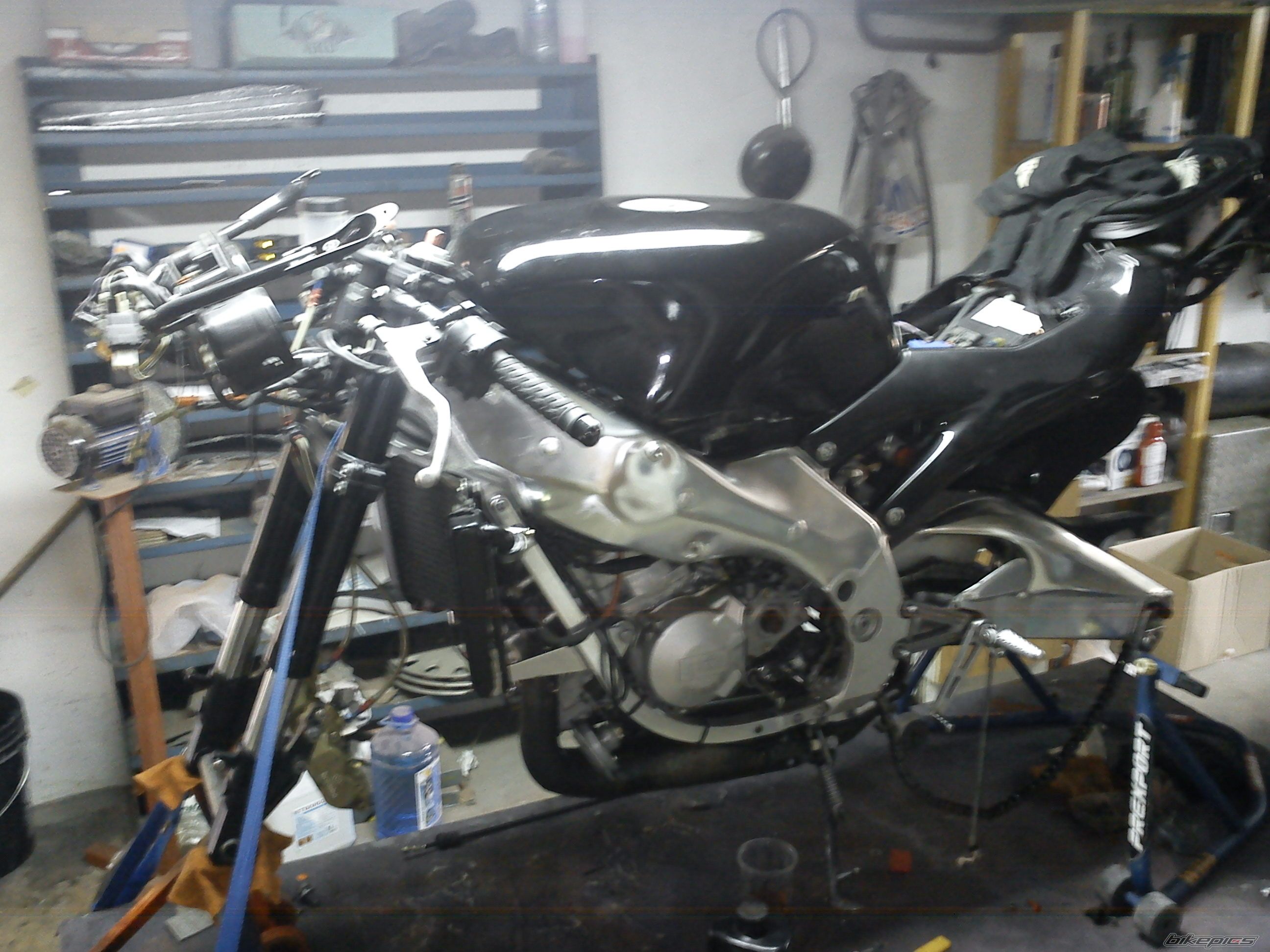 Photo 2439989
