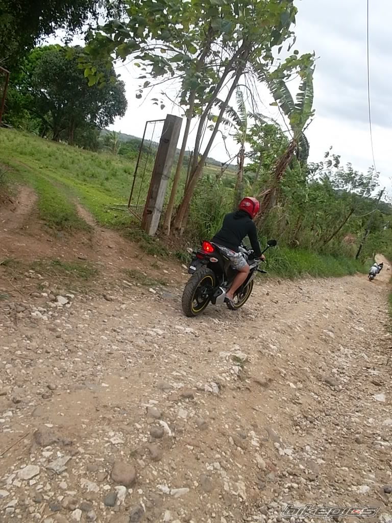 Photo 2439996