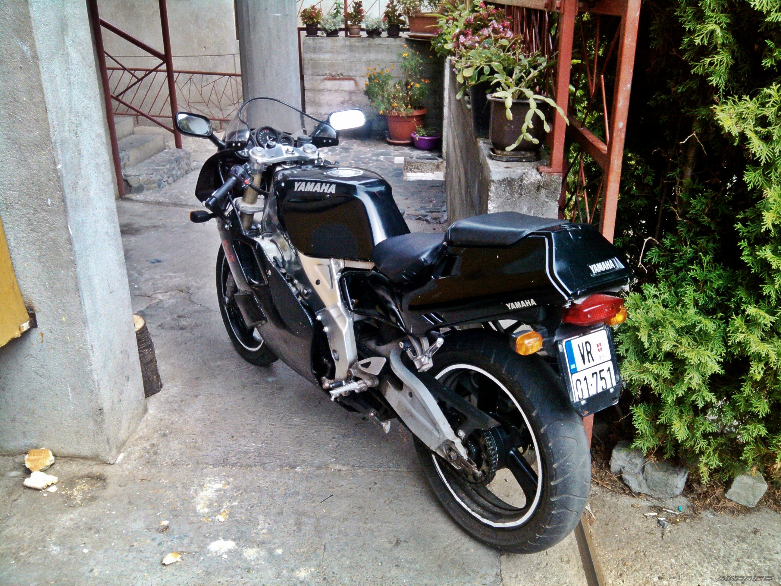 Photo 2440067
