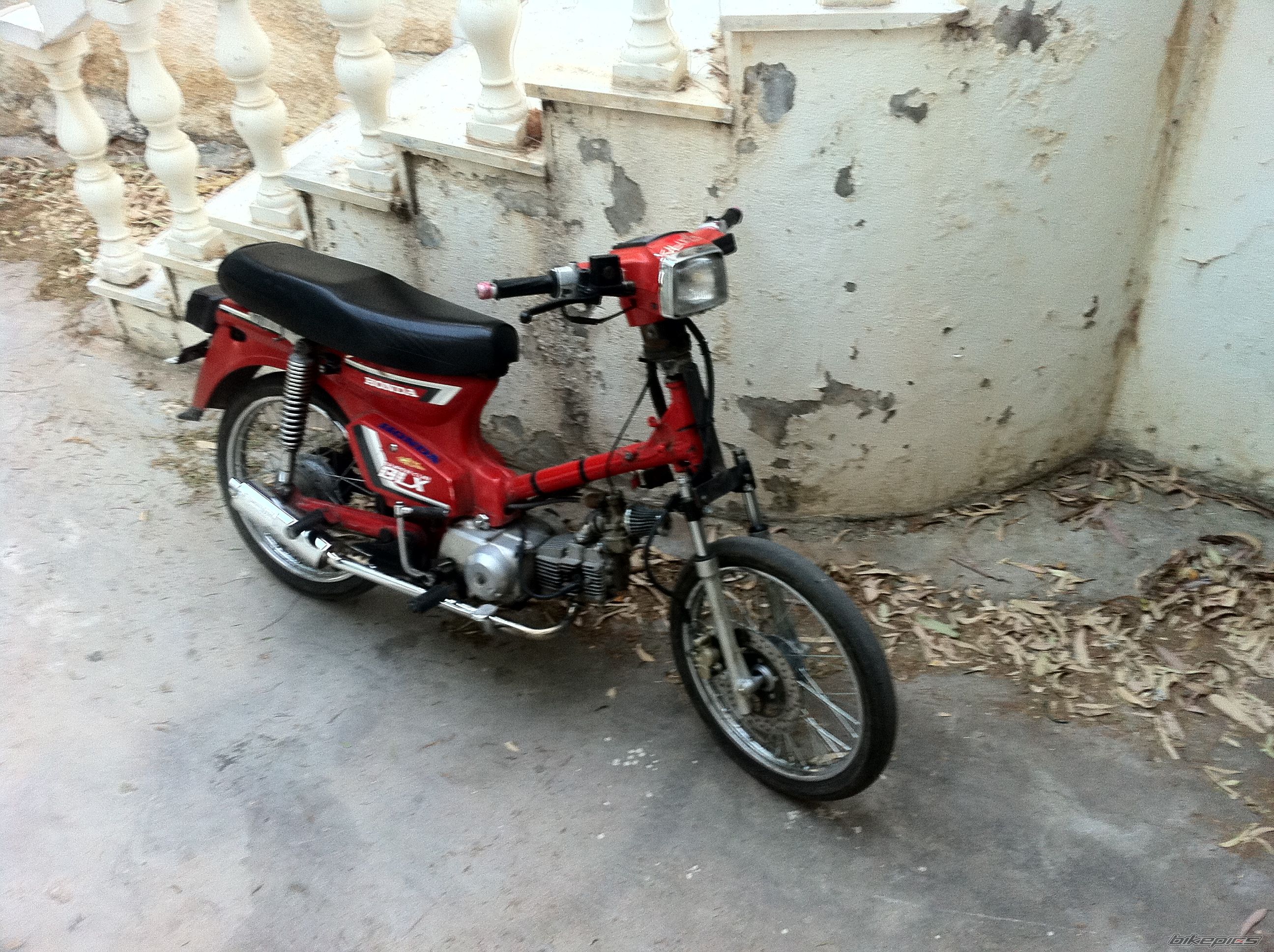 Photo 2440094