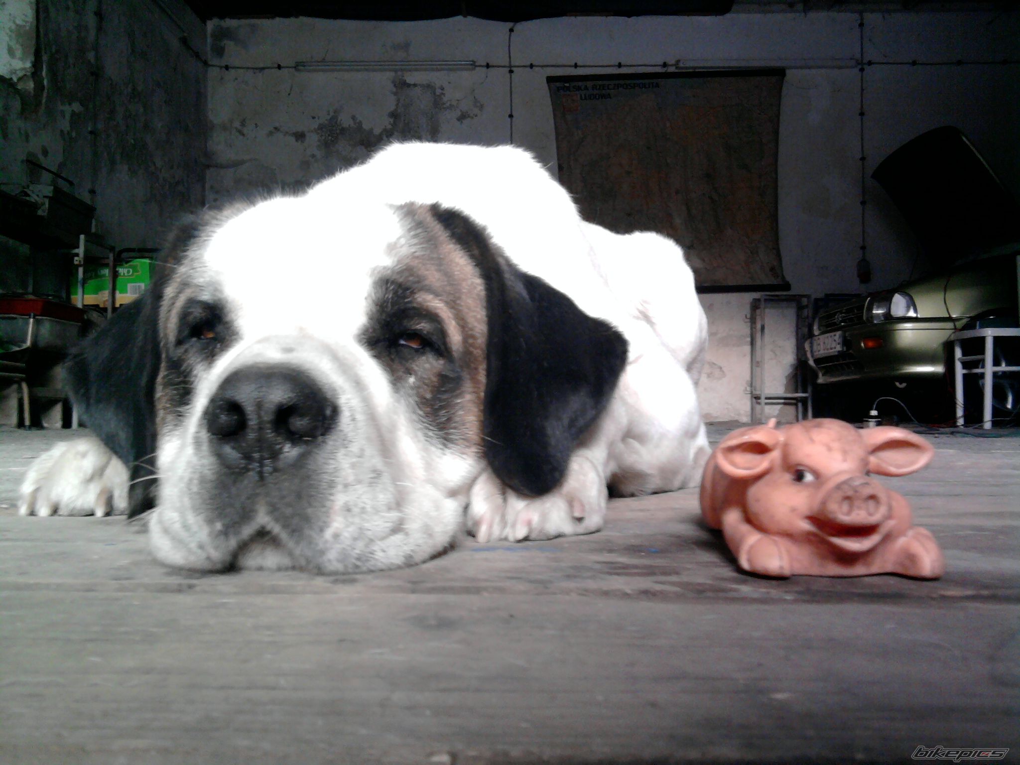 Photo 2440222