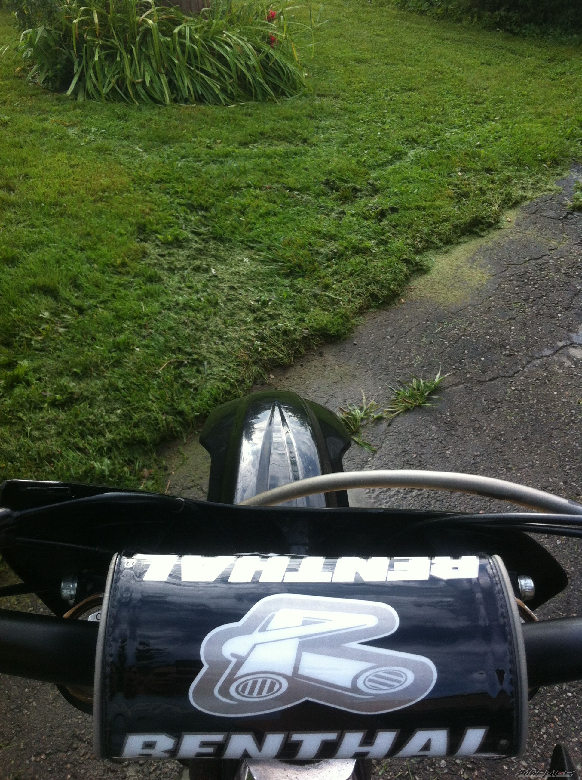 Photo 2440283