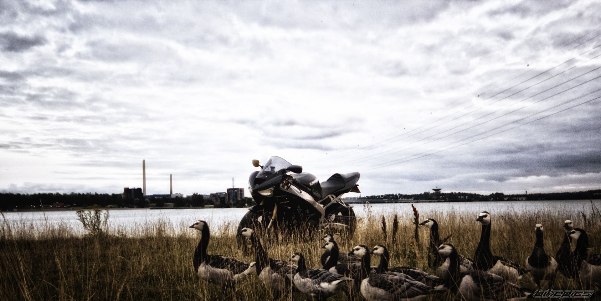 Photo 2440347