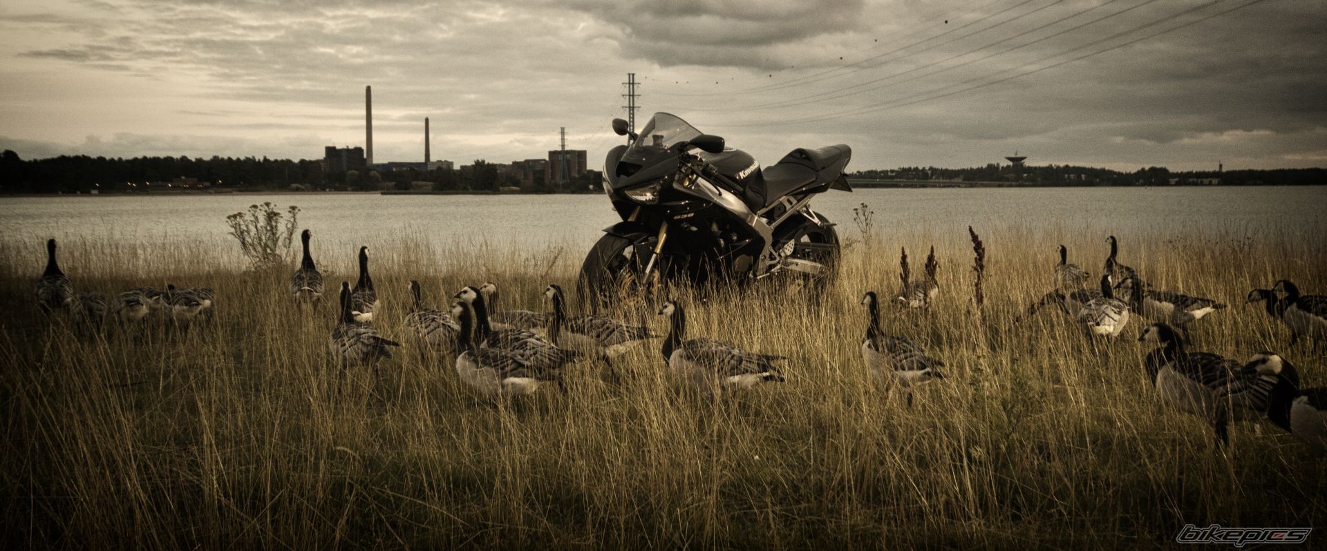 Photo 2440348