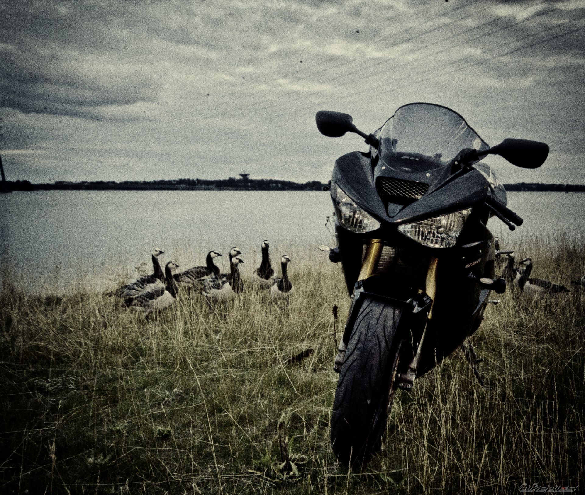 Photo 2440349