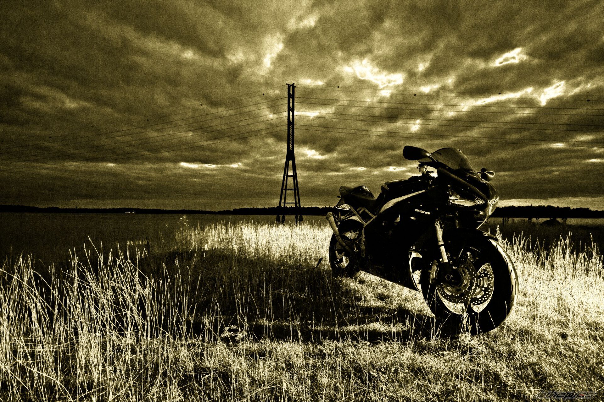 Photo 2440350