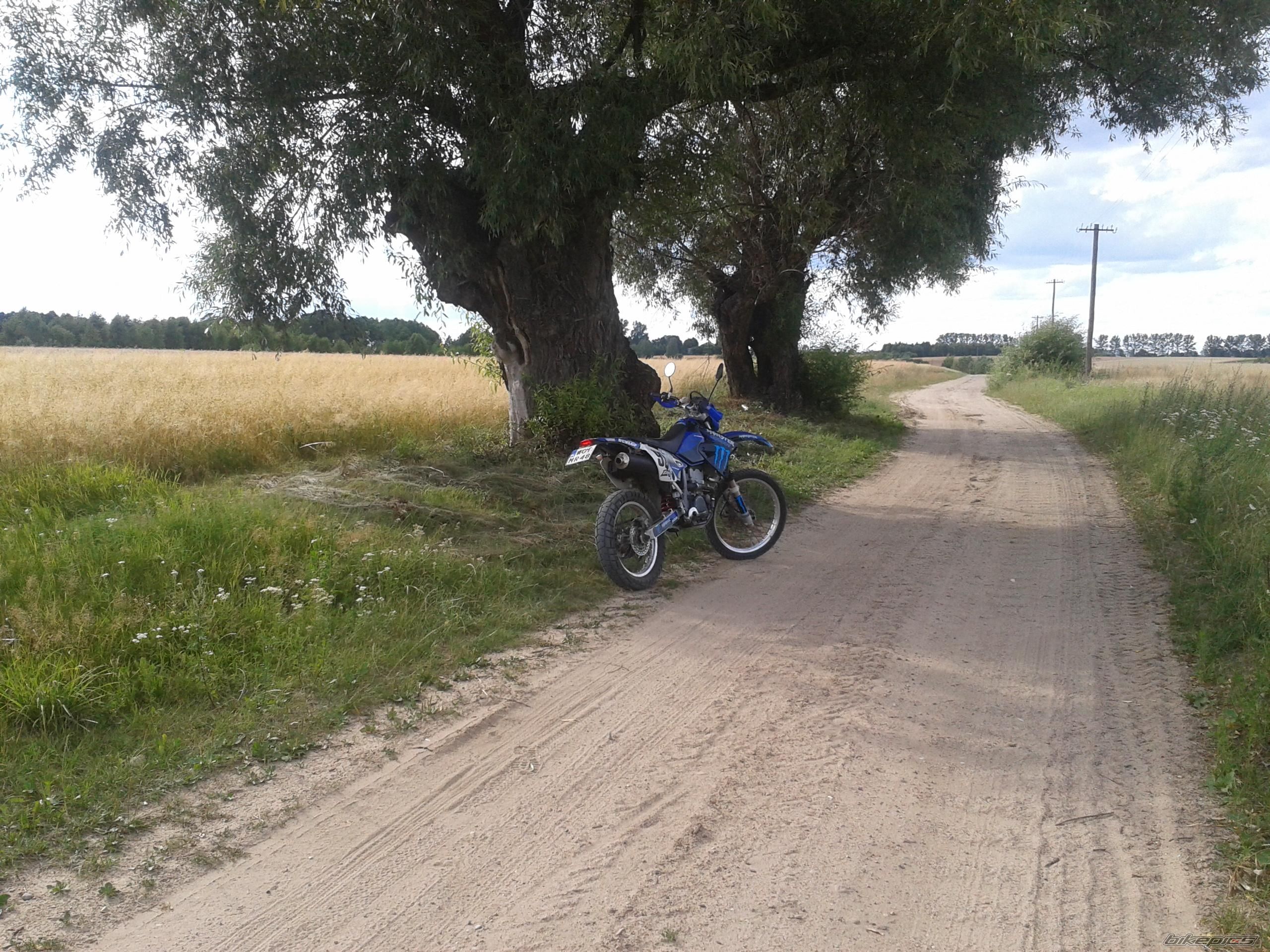 Bike Photo 2440423