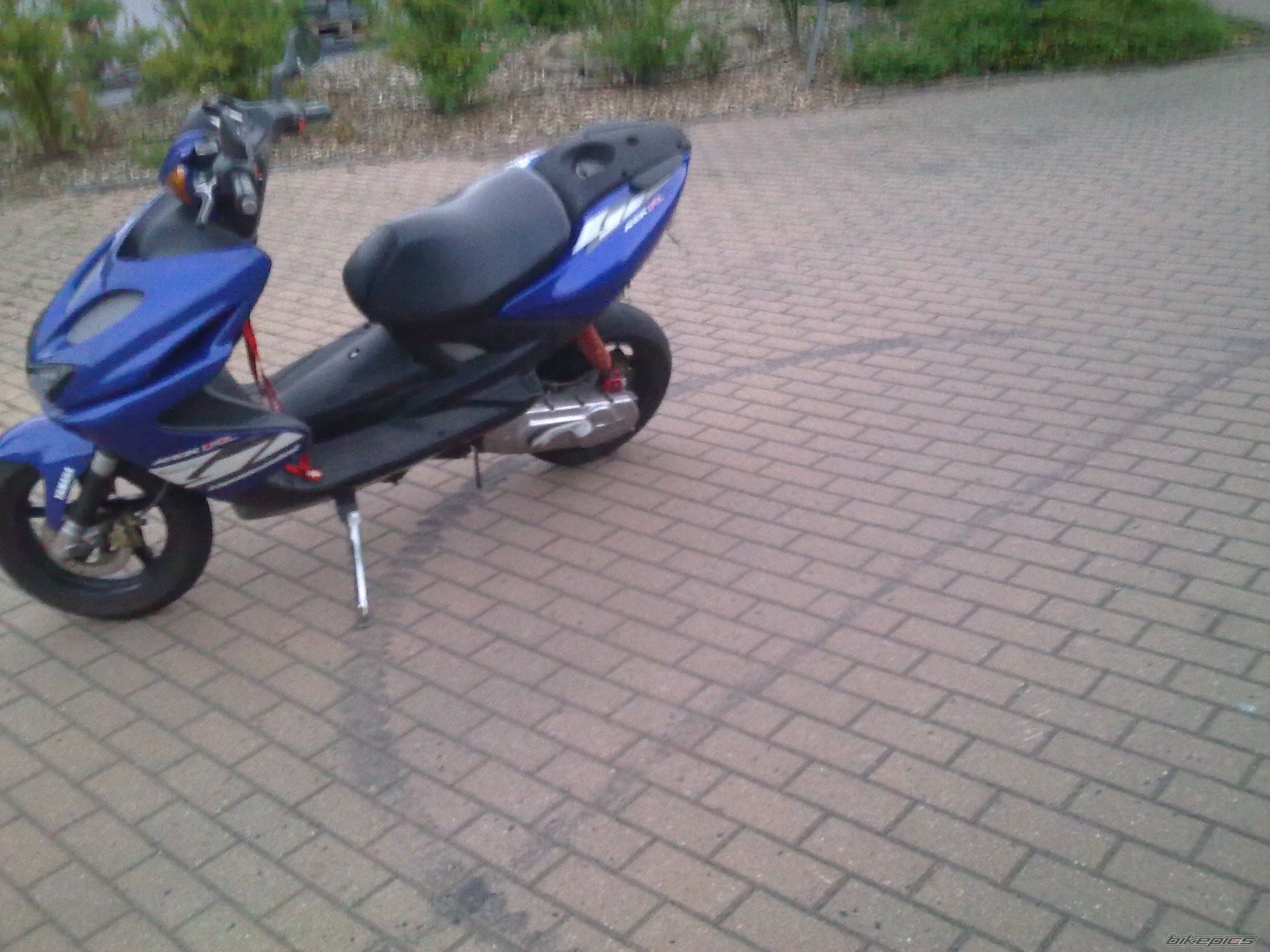 Photo 2440474