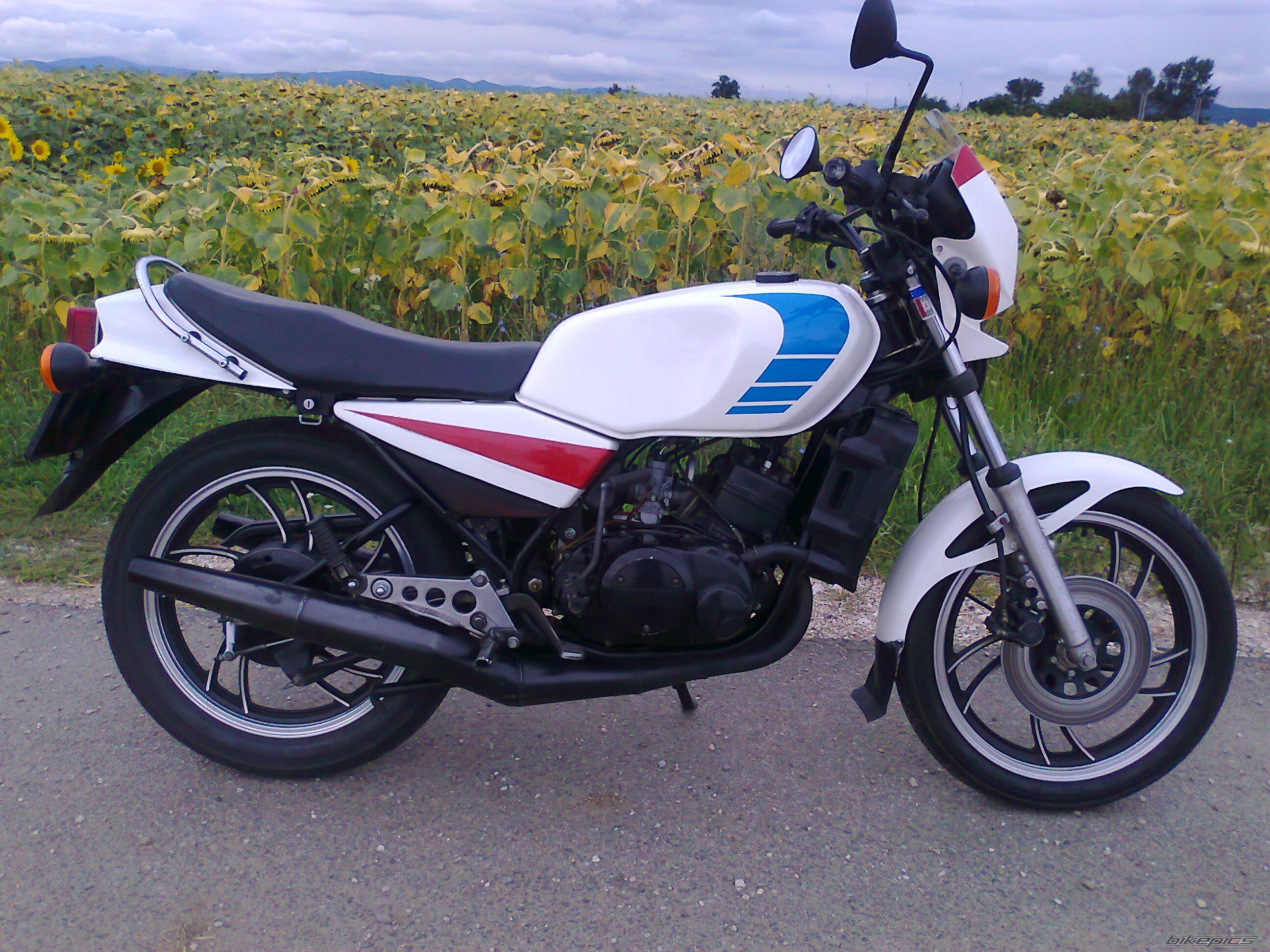 Bike Photo 2440495