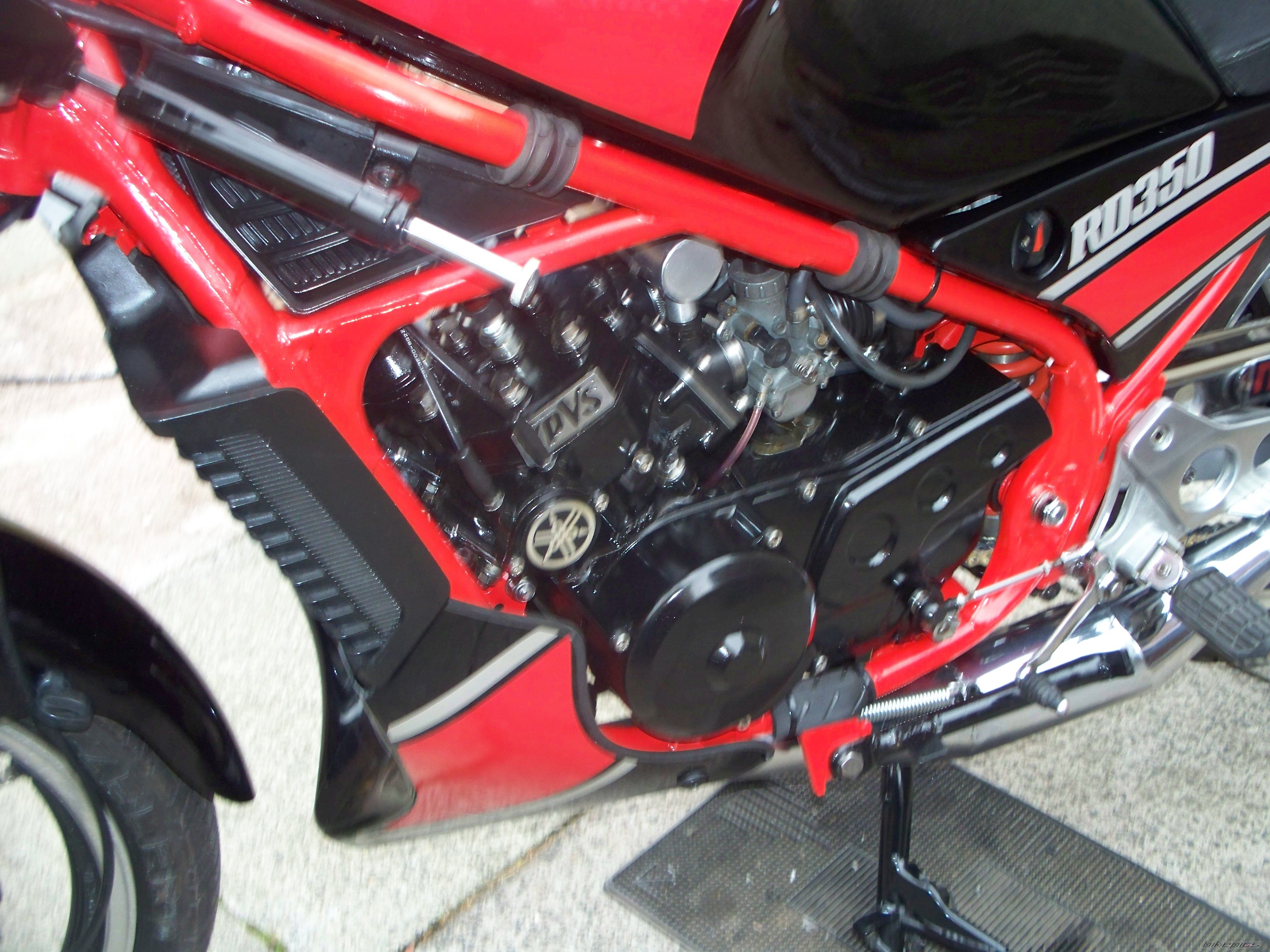 Photo 2440507